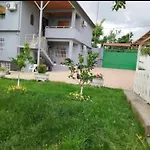 Miceli Tirana