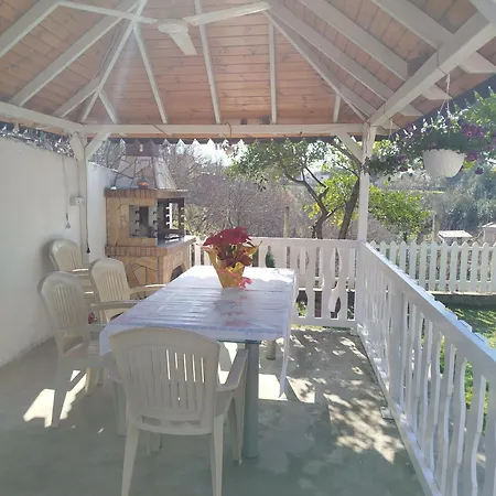 Miceli * ティラナ