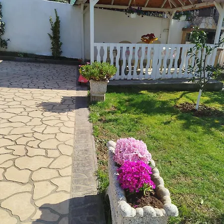 Villa Miceli Tirana