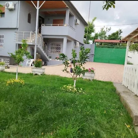 Miceli Тирана