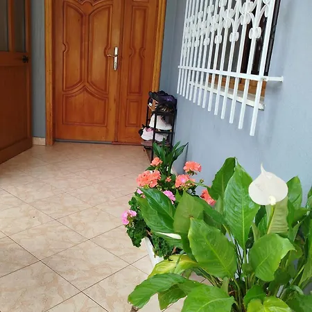 Miceli * تيرانا